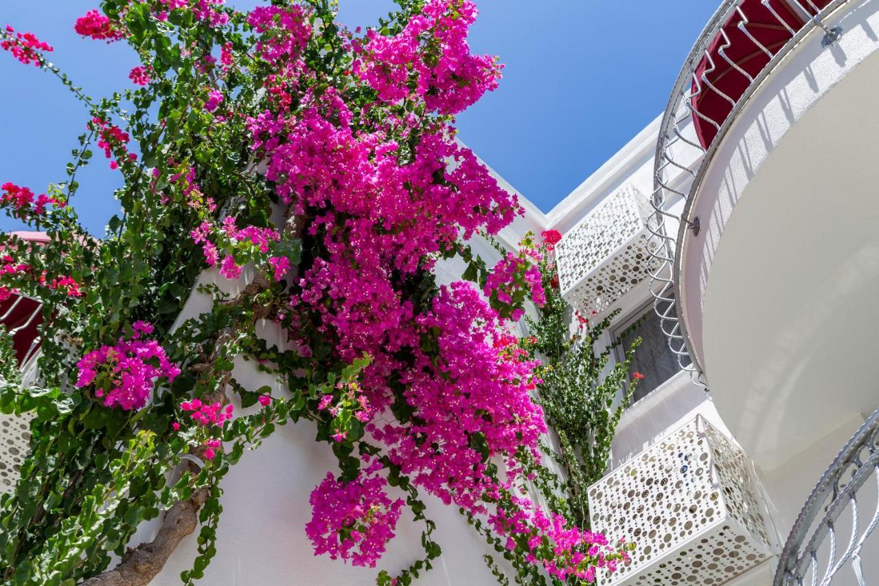 فندق لا بريزا سويت أكيارلار المظهر الخارجي الصورة